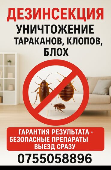уничтожение клопов блох тараканов: Дезинфекция, дезинсекция, | Вирусы, микробы