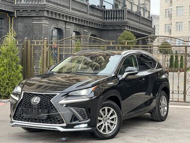 ленд крузер: Lexus NX: 2018 г., 2 л, Вариатор, Бензин, Кроссовер