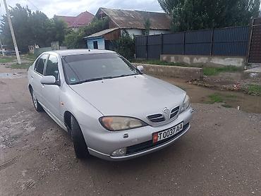 катушка нексия 2: Nissan Primera: 2002 г., 1.8 л, Механика, Бензин, Седан — 2