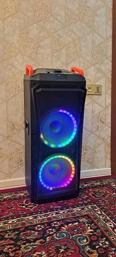 bluetooth mikrofon karaoke: Hoffmann portativ akustik sistemi - İki ədəd iri ölçülü dinamiklə — 1