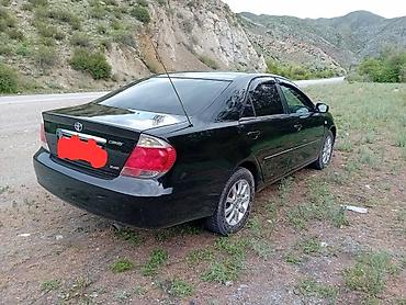гайа: Toyota Camry: 2005 г., 2.4 л, Автомат, Бензин, Седан — 2