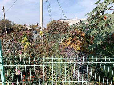 Продажа коттеджей и домов: Продаю дом в районе киркомстром. По номеру телефона доступен только — 2