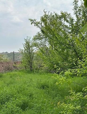 2 otaqlı mənzil kiraye: 31 sot, Tikinti, Mülkiyyətçi, Kupça (Çıxarış) — 7