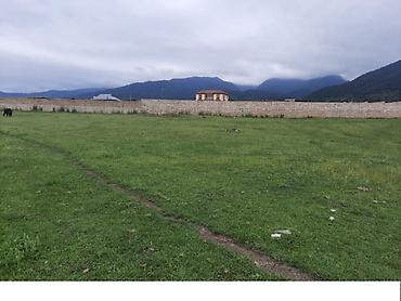2 sot, Tikinti, Mülkiyyətçi, Kupça (Çıxarış)