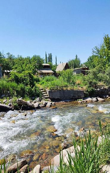 Продажа дач: 🏡🔥 ДАЧА У РЕКИ | АРАШАН 🌊⛰️ 📍 Закрытый кооператив “Предгорный” ✅ — 5