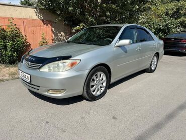 продаю тайота витс: Toyota Camry: 2002 г., 2.4 л, Автомат, Бензин, Седан