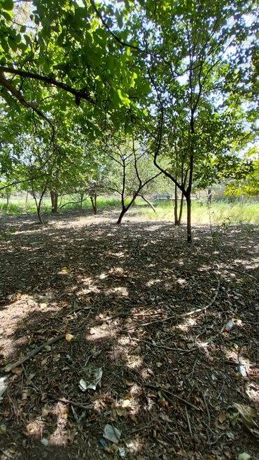 Torpaq sahələrinin satışı: 8 sot, Tikinti, Maklerlər narahat etməsin, Kupça (Çıxarış) — 9