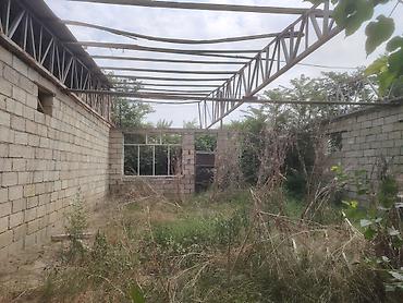 bakıda: Salam Agdamin Cemenli kendinde 1 hektara yaxin heyeti olan heyet — 9