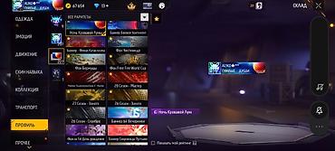 Толстовки, худи: Игровой аккаунт Free Fire Основное: - Ник: ALIKO - Уровень профиля — 36