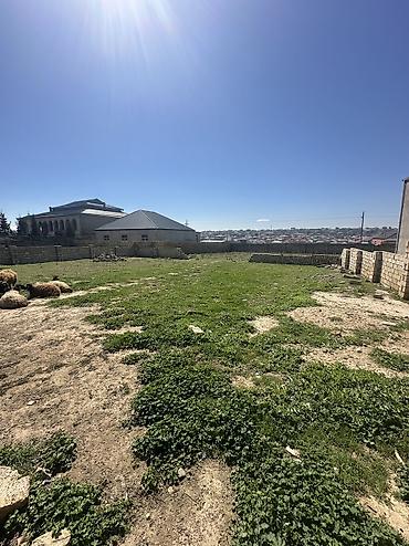 a frame: 6 sot, Tikinti, Maklerlər narahat etməsin, Kupça (Çıxarış) — 6