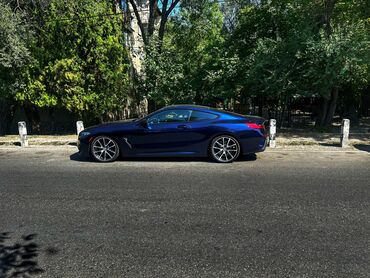 bwm самурай: BMW 8 series: 2019 г., 3 л, Автомат, Бензин, Купе