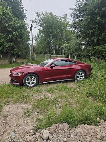mustang: Ford Mustang: 2017 г., 3.7 л, Автомат, Бензин, Купе — 6