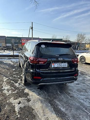 Kia: Kia Sorento: 2019 г., 2 л, Автомат, Дизель, Кроссовер — 12