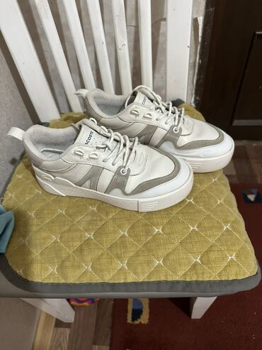 купить резиновий член: Кроссовки Lacoste мужские - Модель: низкие кроссовки с шнуровкой -