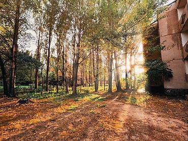 Видеокамеры: GoPro Hero 8. 4К 60fps. Combo Состояние Отличное Видео/фото: 4K — 10