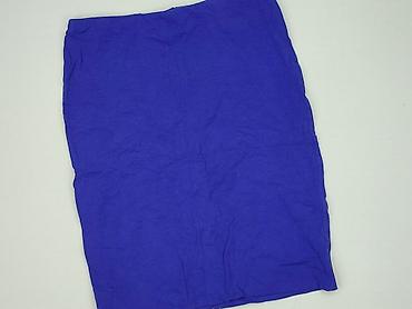 sukienka chabrowa plus size: Spódnica damska, rozmiar XL — 1