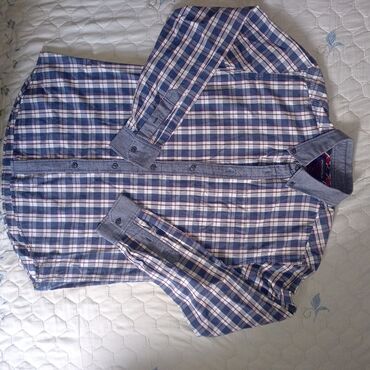 Men's Clothing: Shirt Springfield, S (EU 36), M (EU 38), color - Blue