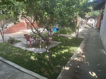 Откатные ворота: Продается дом из жжоного кирпича 3 комнатная и 2 времянки огород сад — 4