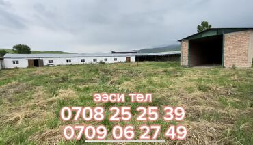 Сельхоз предприятия: 40 соток, Действующий, С оборудованием — 4