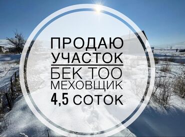 кара кульджа: 4 соток, Курулуш, Кызыл китеп, Сатып алуу-сатуу келишими