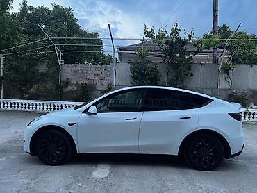 performance: Tesla Model Y: 2023 г., 4.4 л, Автомат, Электромобиль, Кроссовер — 6
