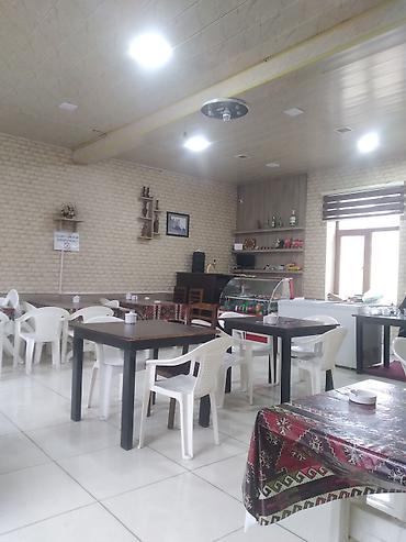 restoran iş elanları: Ofisiant tələb olunur, Kafe, Gündəlik ödəniş, 18-29 yaş, 1-2 illik təcrübə — 1