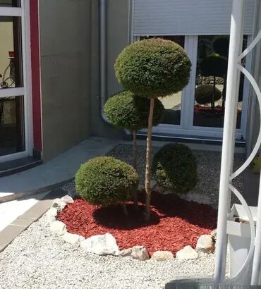 Baštenski alati i oprema: Agrotekstil folija PP za malc, kamen oblutak-tkana. Agrotekstil ili — 4