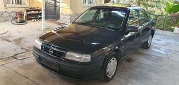 рулевая рейка опель вектра б: Opel Vectra: 1994 г., 1.8 л, Механика, Бензин, Седан