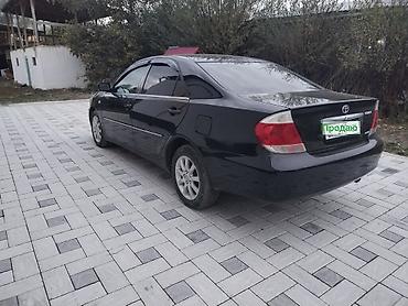 Toyota: Toyota Camry: 2005 г., 2.4 л, Автомат, Бензин, Седан — 4