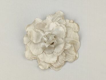 Hair clip, Female, condition - Very good
