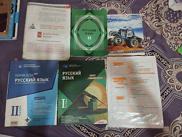 Книги и журналы: Русский язык 11 класс, 2020 год — 1