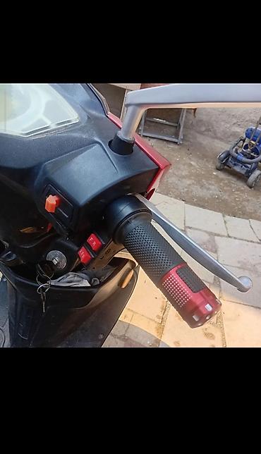 Mopedlər,skuterlər: Kuba - Myforce — 6