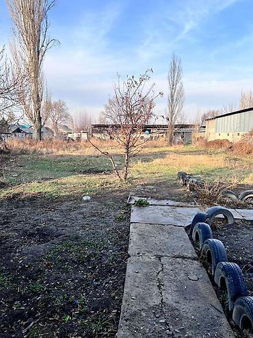 Продажа коттеджей и домов: Дом с большим участком - Одноэтажный жилой дом из /кирпича с — 2