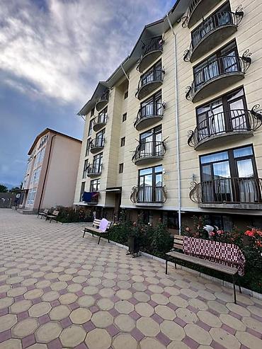 исык куль квартиры: Сдается 3-комнатная квартира на Иссык - Куле☀️🌊 #Иссыккуль #Бостери — 2
