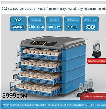Оборудование для производства: Инкубаторы с двойным электроприводом и полностью автоматическим — 3