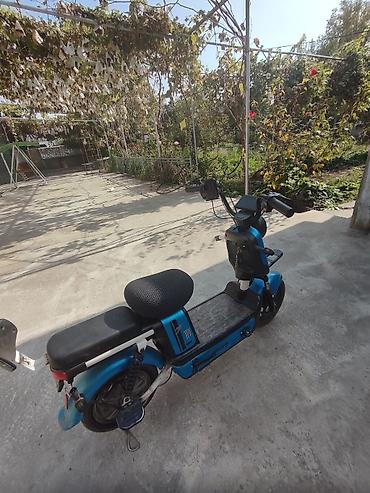 спортивные шорты: 🛵 Продаётся электроскутер! 🔵 🔹 Цвет: синий обмен есть ⚡ Максимальная — 4