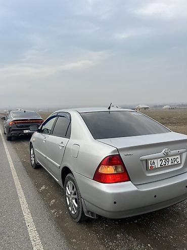 Toyota: Toyota Corolla: 2003 г., 1.6 л, Автомат, Бензин, Седан — 9