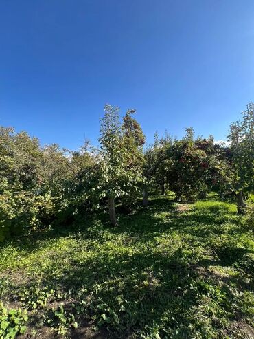 Продажа домов: Дом, 100 м², 4 комнаты, Собственник, Старый ремонт — 20