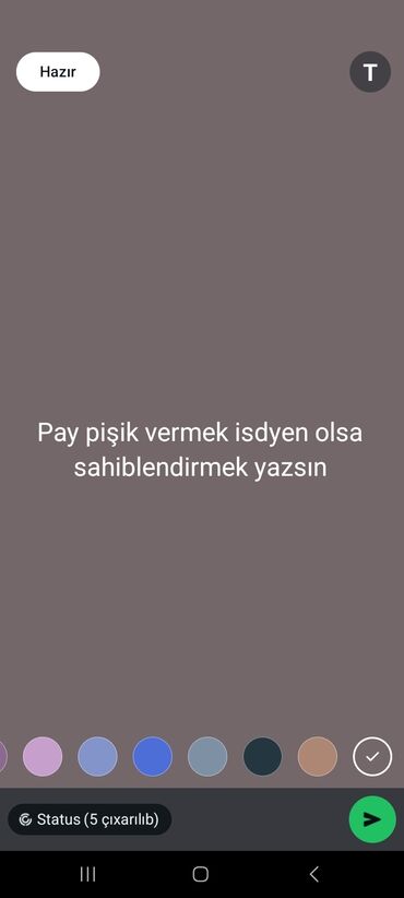 Video oyunlar və konsollar: Bu, smartfon ekranında görünən mətn mesajıdır. Mesajda "Pay pişik