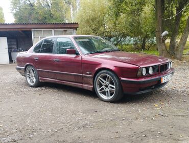 машина на газу: BMW 5 series: 1994 г., 2 л, Механика, Бензин, Седан