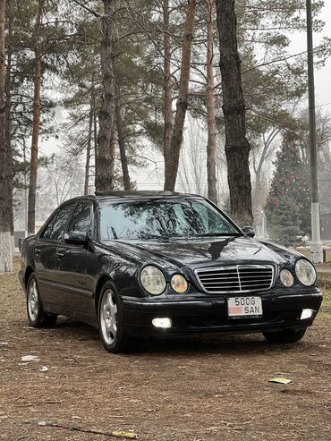 мазда 323 2002: Mercedes-Benz E-Class: 2002 г., 4.3 л, Автомат, Газ, Седан