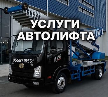 250: АВТОЛИФТ — профессиональные высотные погрузочно‑разгрузочные работы — 1