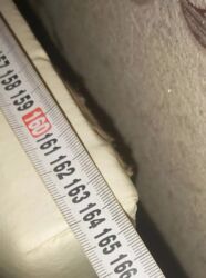 Çarpayılar: İkinəfərlik çarpayı, Bazalı, Matras ilə -da lalafo.az — 8 Çarpayılar: İkinəfərlik çarpayı, Bazalı, Matras ilə — 8