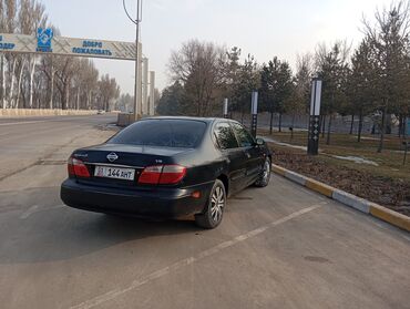 мини культиватор: Nissan Maxima: 2003 г., 2 л, Автомат, Газ, Седан