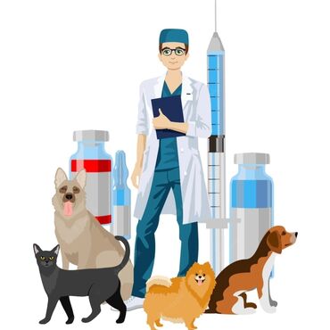 Услуги ветеринара: Ветеринарный врач, вызов на дом