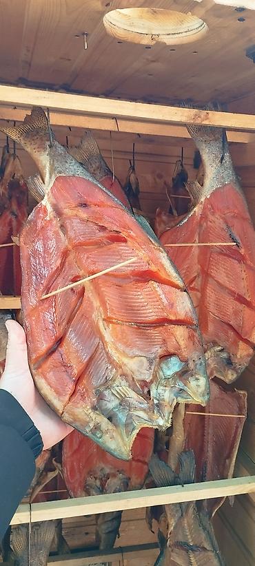 Другая рыбная продукция: Продаю холодного и горячего копчения Форель, домашнего приготовления — 17
