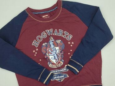 Women's Clothing: Women`s sweatshirt, Harry Potter, size XL (EU 42)