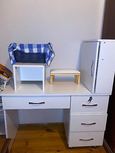 Digər biznes avadanlığı: Manikur stolu satilir. Ustundə olanlarla birge. bir eded dirseklik — 1