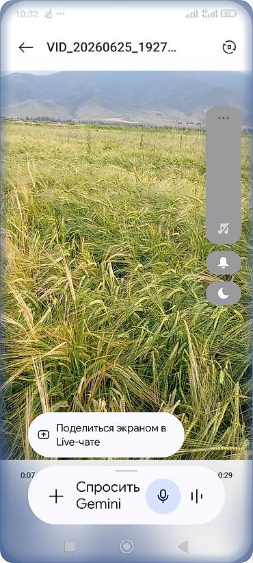 слив малоле: Арпа сатылат 20 тонна,сорт "МАРГАРЕТ" урукка. - Назначение: посевной — 1