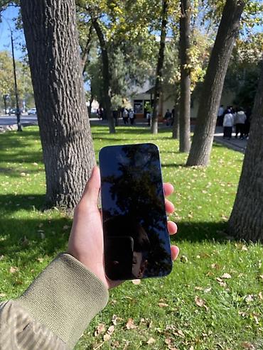 iphone 13mini: IPhone (линейка Pro max), синий/сине‑фиолетовый цвет корпуса — 2